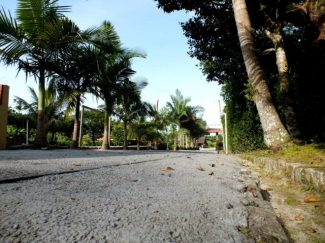 phoca_thumb_l_entrada_03